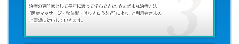 治療の専門家として長年に渡って学んできた、さまざまな治療方法（医療マッサージ・整体術・はりきゅうなど）により、ご利用者さまのご要望に対応していきます。